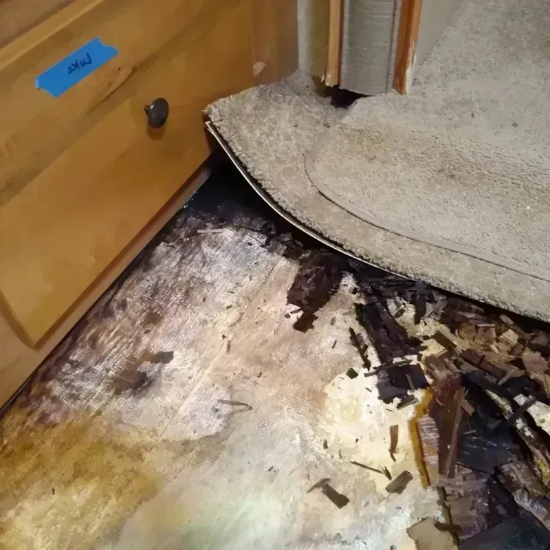 Wood Floor Water Damage in Linda, CA